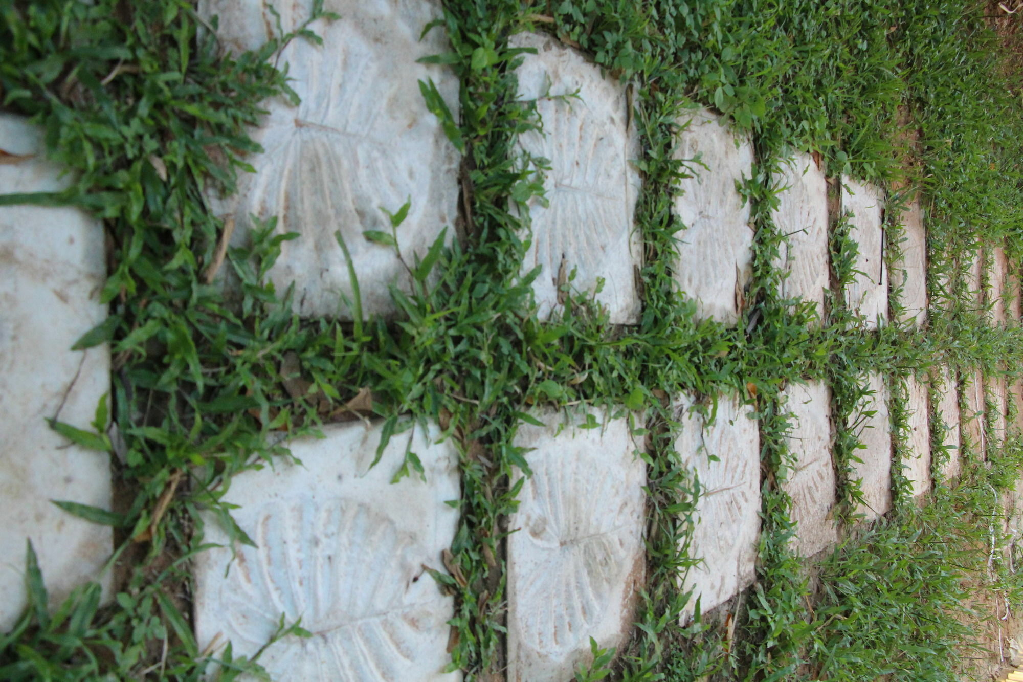Areca Stay Sziemreap Kültér fotó