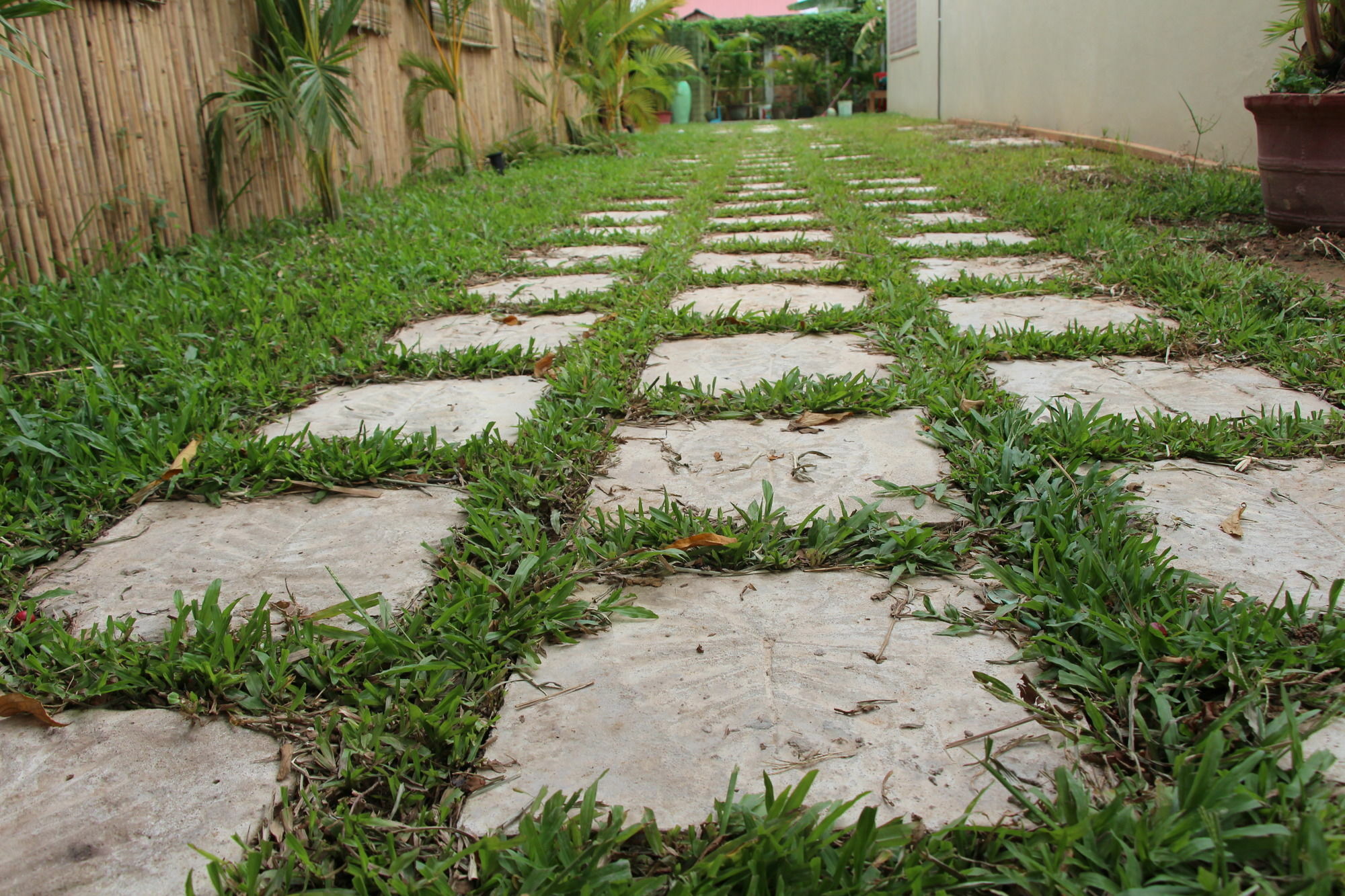Areca Stay Sziemreap Kültér fotó